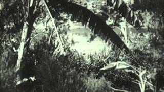 Tarzan the Fearless előzetes