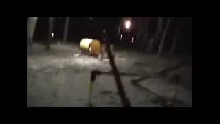 Marble Hornets előzetes