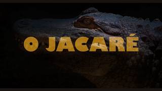 O Jacaré előzetes