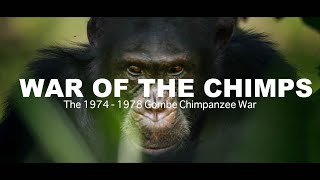 World War Chimp | The Brutal 1974 - 1978 Gombe Chimpanzee War: Documentary előzetes