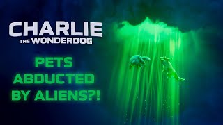Charlie, a csodablöki előzetes