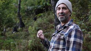Back from the Brink: Saved from Extinction előzetes