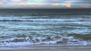 Why Sharks Attack előzetes