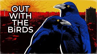 Out with the Birds előzetes
