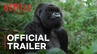 David Attenborough: Gorillák között előzetes