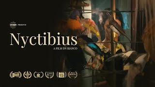 Nyctibius előzetes