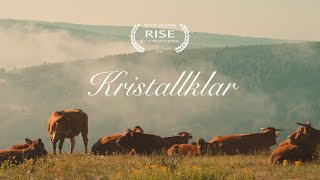 Kristallklar - A Fly Fishing Short Film előzetes
