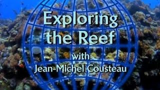 Exploring the Reef előzetes