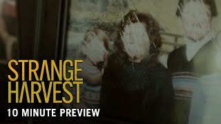 Strange Harvest előzetes