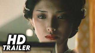 霧の旗 előzetes