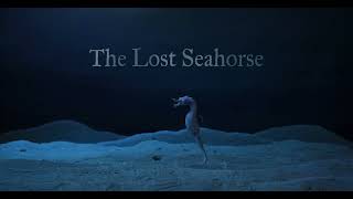 The Lost Seahorse előzetes