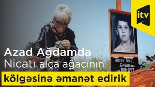 Alça ağacı altındakı məzar előzetes