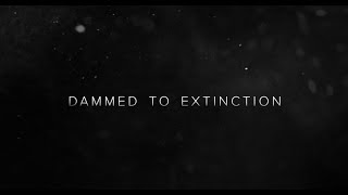 Dammed to Extinction előzetes