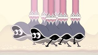 Double King előzetes