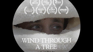 Wind Through a Tree előzetes