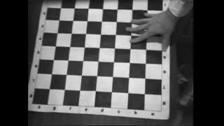 Computer Chess előzetes