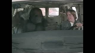 Én és a gorillám előzetes