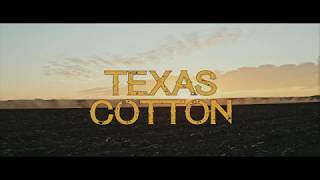 Texas Cotton előzetes