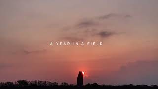 A Year in a Field előzetes