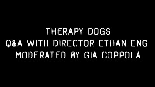 Therapy Dogs előzetes