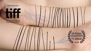 Scars előzetes