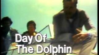 A delfin napja előzetes