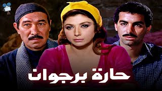 حارة برجوان előzetes