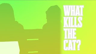 What Kills The Cat? előzetes