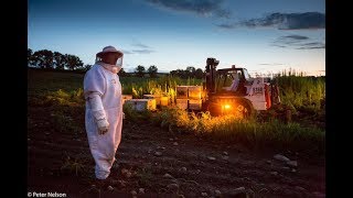 The Pollinators előzetes