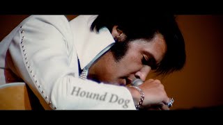Elvis: The Ultimate Live Collection előzetes