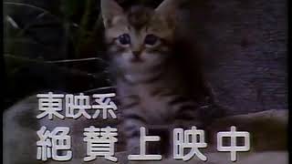 公園通りの猫たち előzetes