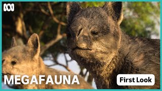 Megafauna: What Killed Australia's Giants? előzetes