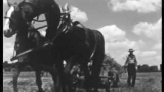 The Incredible Bread Machine Film előzetes