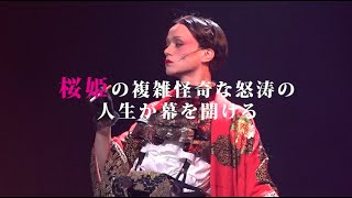 舞台「桜姫東文章」 előzetes