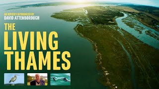 The Living Thames előzetes