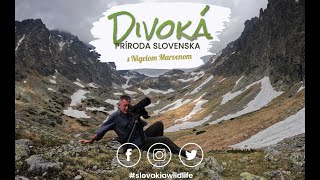 Vad Szlovákia Nigel Marvennel előzetes