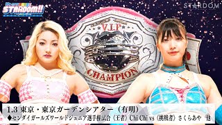 STARDOM NEW YEAR DREAM 2025 előzetes