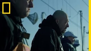 Tonhal-csaták előzetes