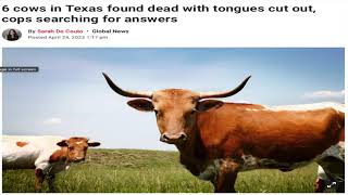 UFO Disclosure Part 6: Cattle Mutilations - A Shocking Phenomenon with Surgical Precision előzetes